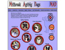 Tablet Screenshot of madkathagility.com